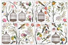 Load image into Gallery viewer, IOD SUMMER 2025 MENAGERIE TRANSFER

