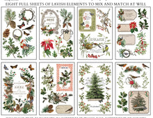 Load image into Gallery viewer, IOD 2025 Q3 Winter Botanist transfer
