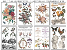 Load image into Gallery viewer, 2026 Spring IOD SAINT
OUEN Transfer Pad
