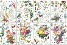 Load image into Gallery viewer, IOD 2026 summer- MARCHÉ DES FLEURS IOD TRANSFER
