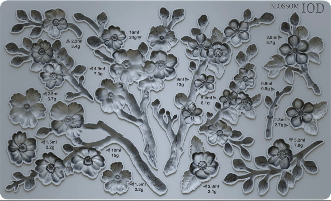 2025 1Q  Blossom 6*10 mould