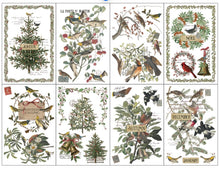 Load image into Gallery viewer, IOD WINTER 2026- WINTER'S CALLING transfer
