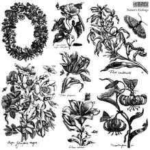 Load image into Gallery viewer, IOD 2026 Summer- NATURE'S ETCHINGS Stamp
