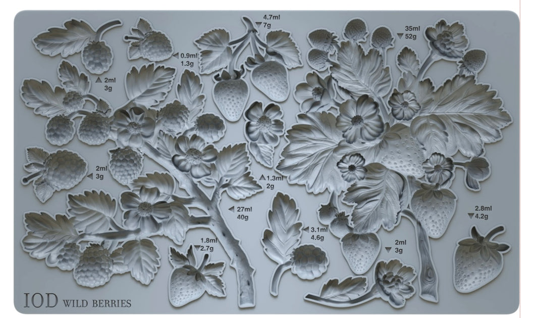 2025 Q1 WILD BERRIES 6X10 IOD MOULD