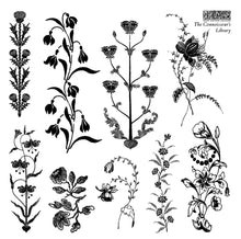 Load image into Gallery viewer, IOD 2026 Summer- THE CONNOISSEUR'S LIBRARY stamp set
