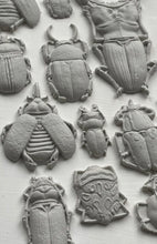 Load image into Gallery viewer, 2024 IOD New Release Collection SPECIMENS MOULD
