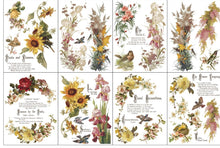 Load image into Gallery viewer, IOD 2026 summer- FLOWERS BY THE POETS TRANSFER

