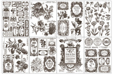 Load image into Gallery viewer, IOD Summer 2025 FLORIOGRAPHY Paint inlay
