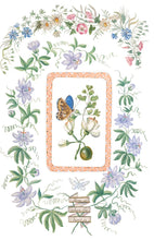 Load image into Gallery viewer, 2026 Spring IOD EMILY CLARE TRANSFER
