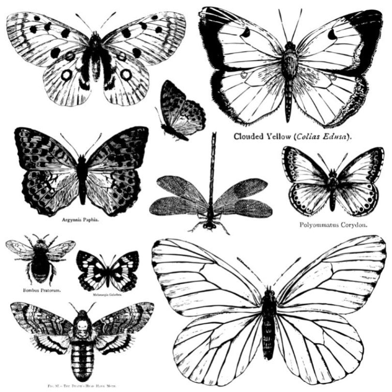 IOD BUTTERFLIES 12×12 DECOR STAMP