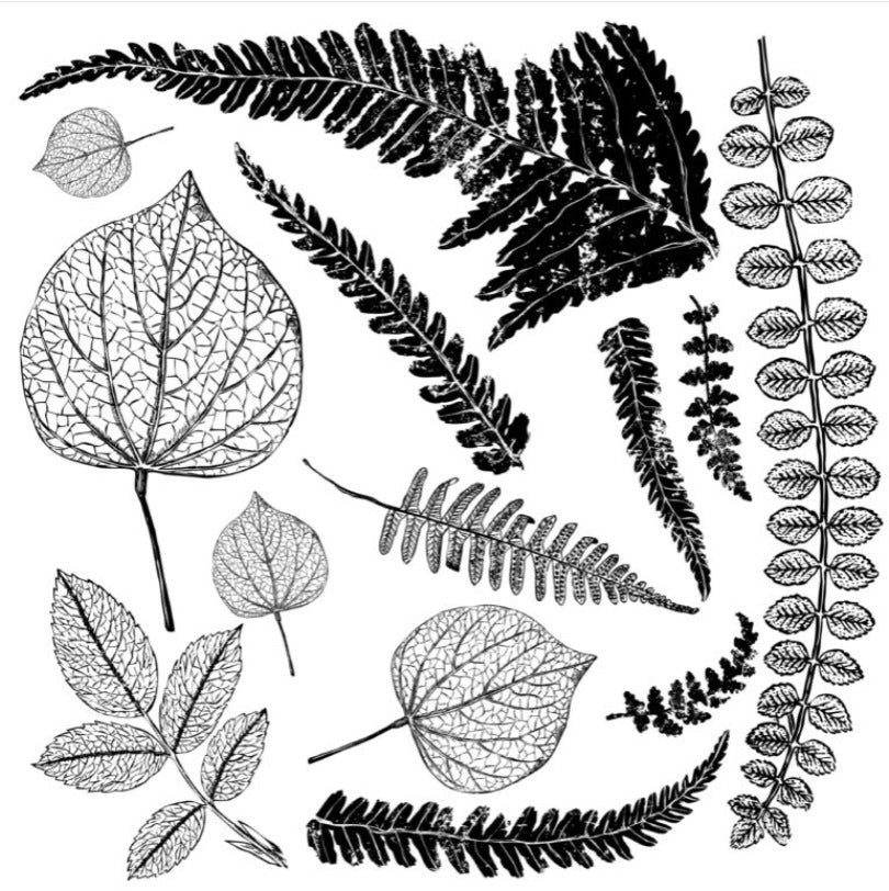 IOD FRONDS 12×12 DECOR STAMP