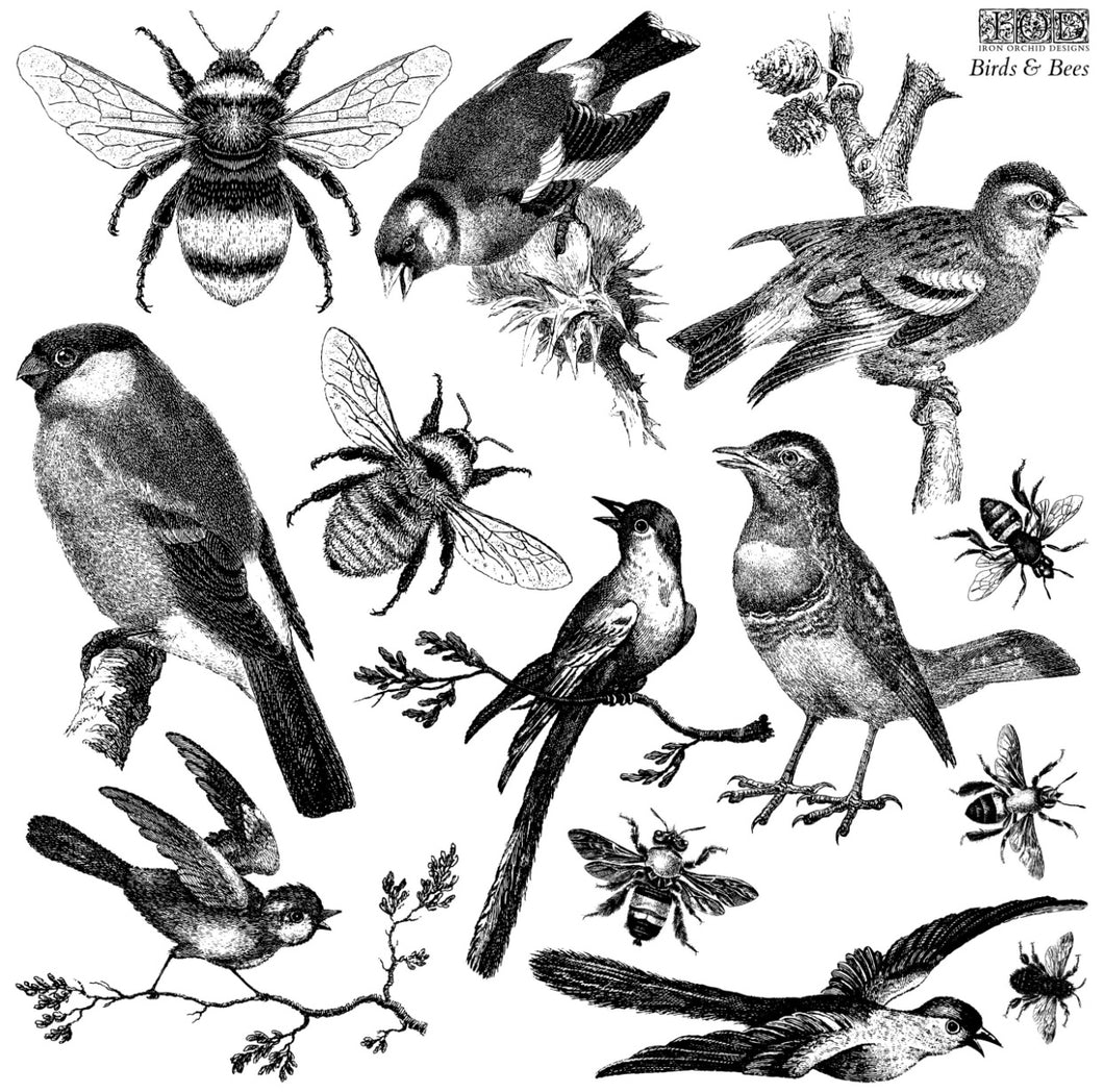 IOD BIRDS & Bees