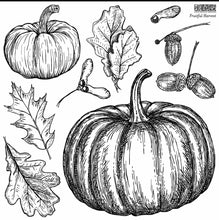 Load image into Gallery viewer, IOD Fruitful Harvest Stamp
