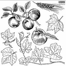 Load image into Gallery viewer, IOD Fruitful Harvest Stamp
